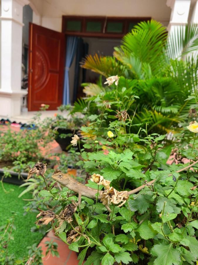 An Homestay Vinh Yen Εξωτερικό φωτογραφία